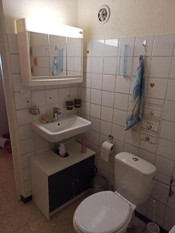 Chalet Typique Au Coeur De La Petite Camargue Βίλα Vauvert Εξωτερικό φωτογραφία